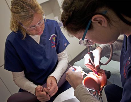 Two female dental assistants practice on set of fake teeth and gums