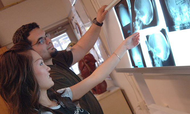 Two radiologic technology students view x-rays of a skull displayed on an x-ray illuminator