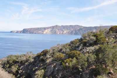 Santa Cruz Island View