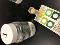 Water test for nitrates