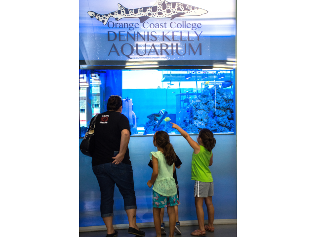 Aquarium tour