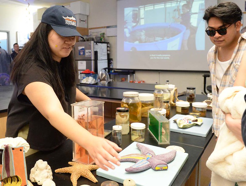 Aquarium Science student teaching visitors about local marine life