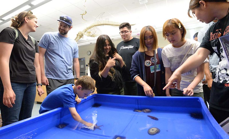 Aquarium touch tank