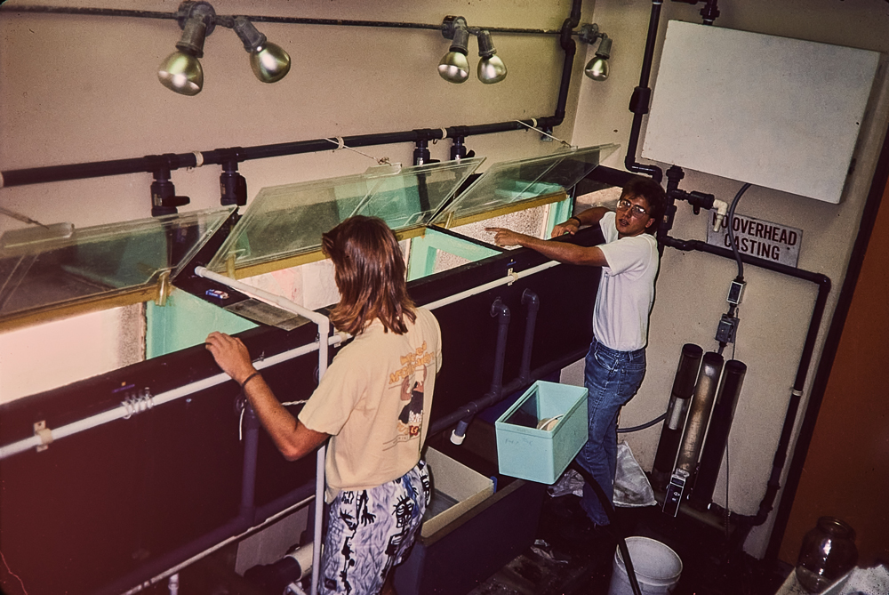 Two students cleaning aquariums, standing on step stools, 1987