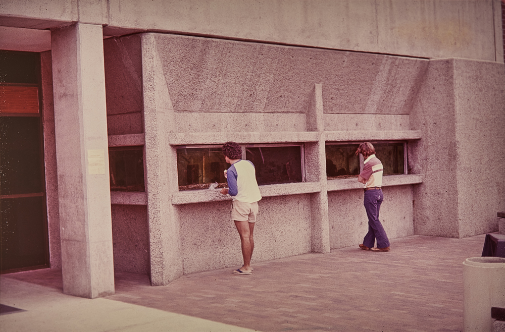 Two people admiring aquariums from outside, 1969.