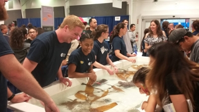 Marine science students working the touch tank at a local education event