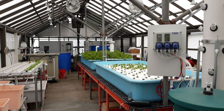 Aquaponics greenhouse