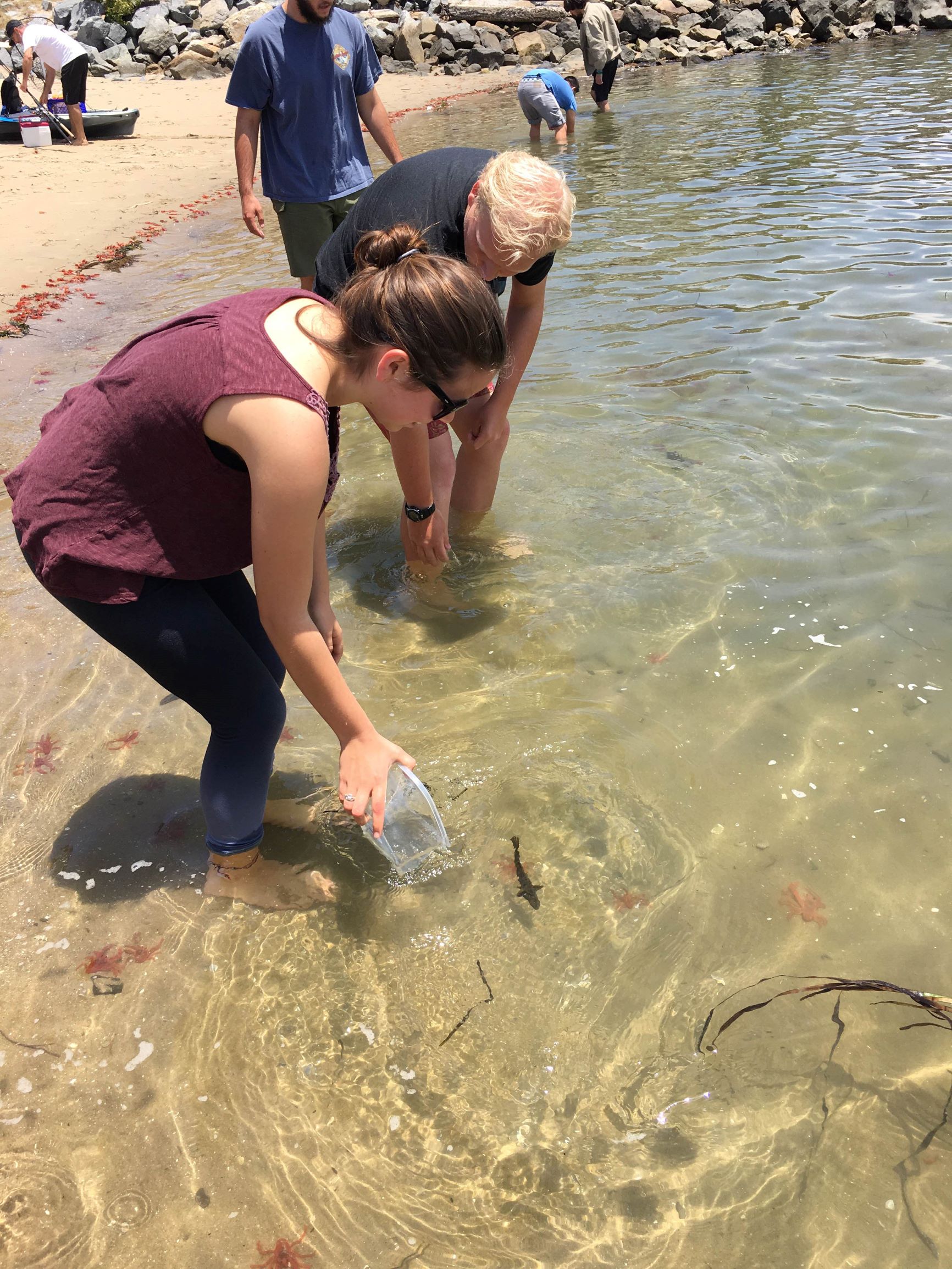 Aquarium students releasing fish as part of a stock restoration program