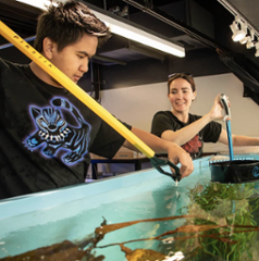 Students feeding aquarium organisms