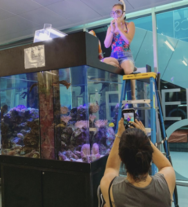 Student preparing to place new coral frags in the tropical community exhibit