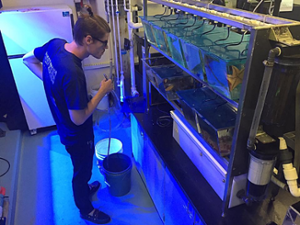 Monitoring aquarium system parameters