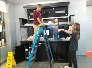 Students building a new reef tank