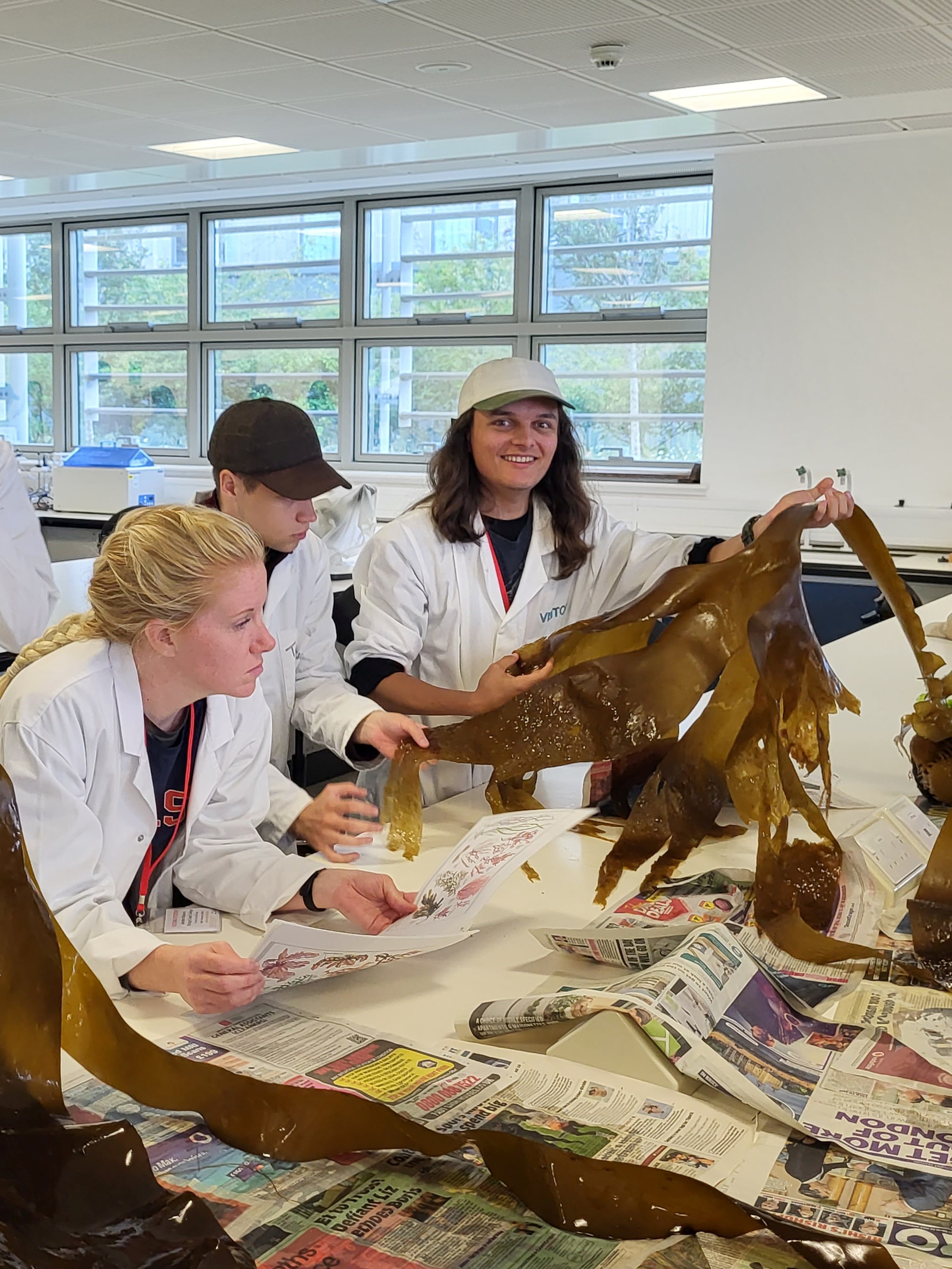 Students studying local algae in a Scotland study abroad course