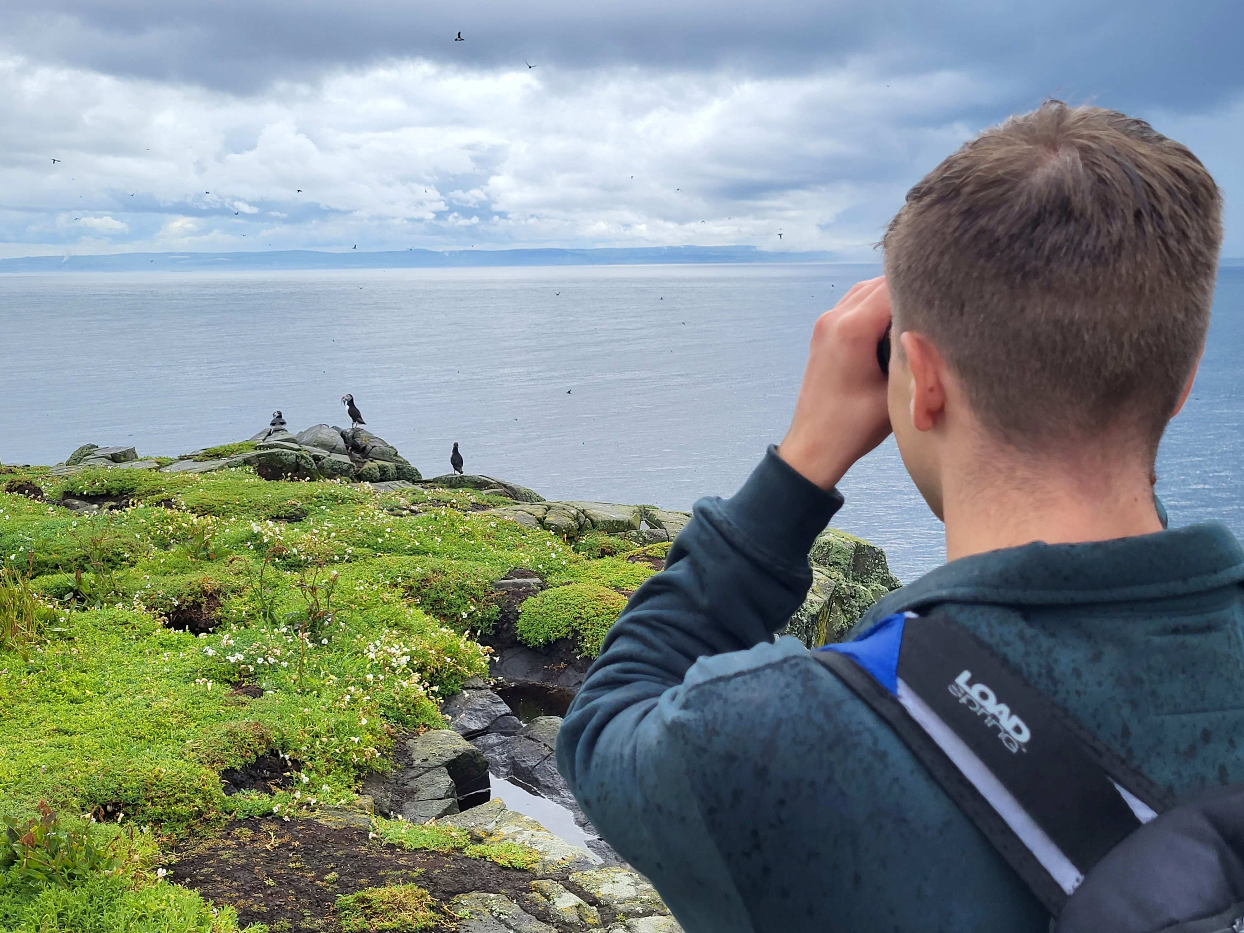 Watching puffins on the Isle of May