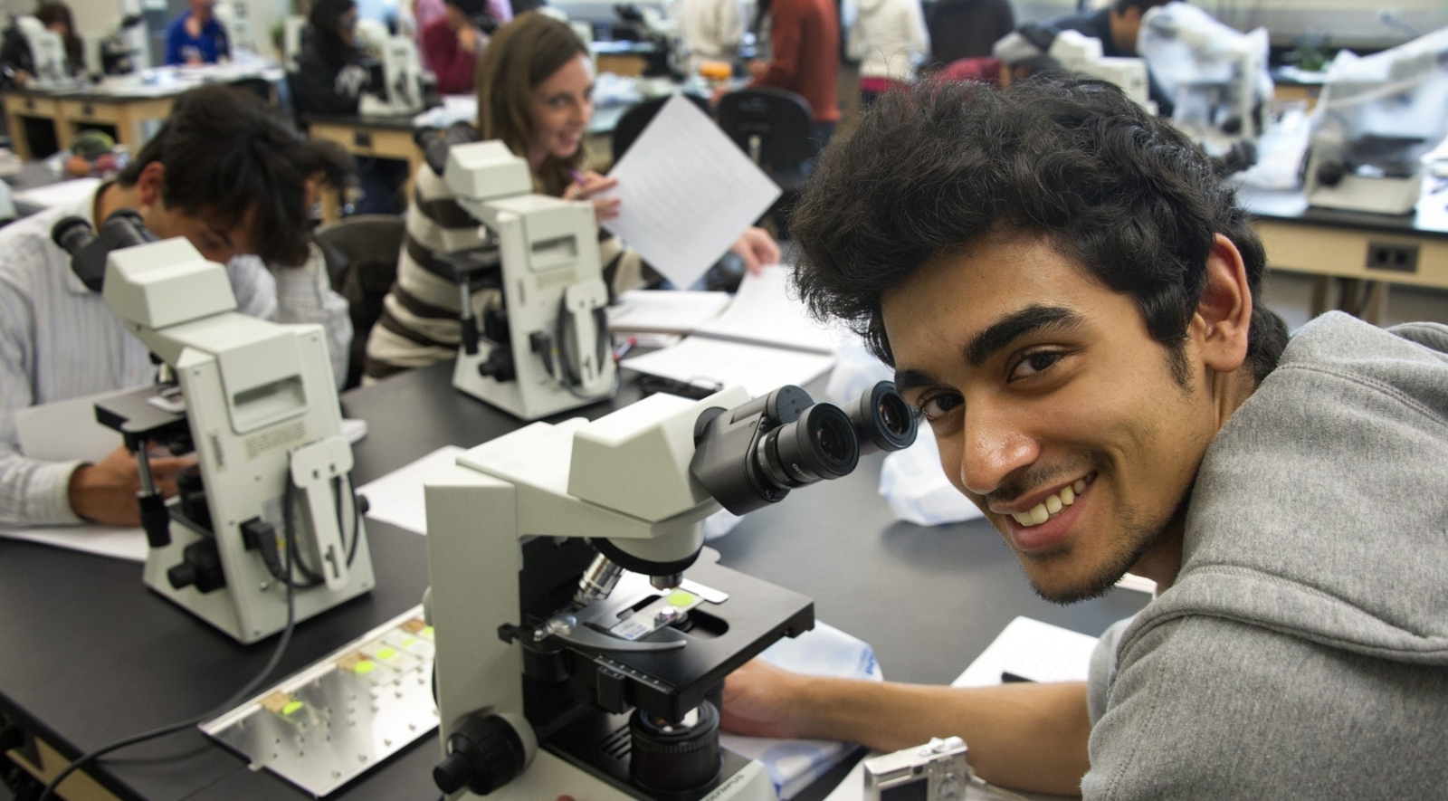 students using microscope