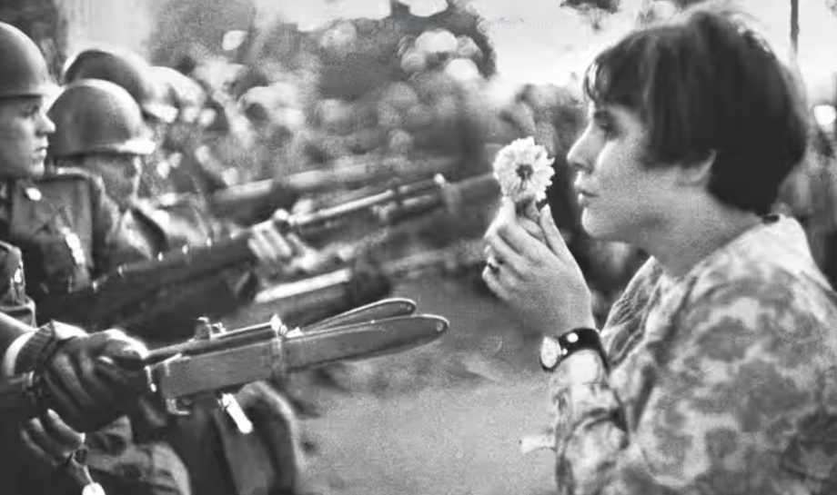 girl holding a flower faces a barrel of a rifle 