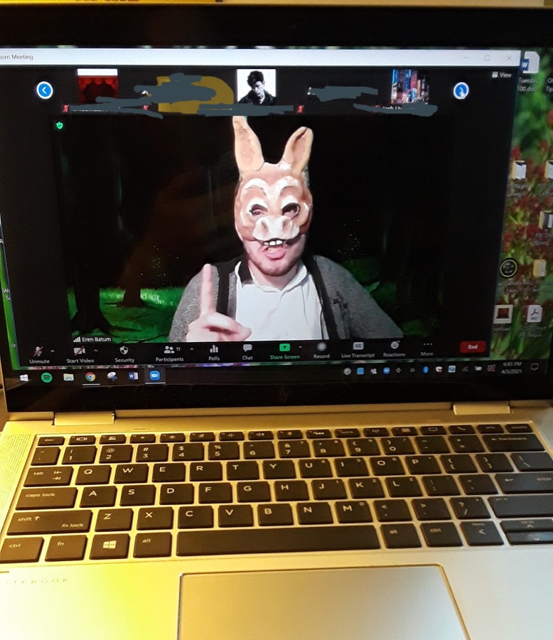 A person in pig head costume on a Zoom call