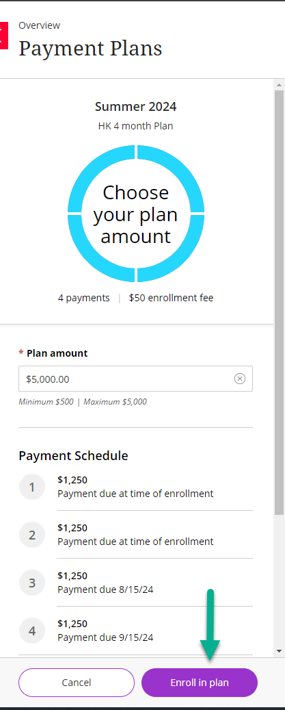 payment plan instructions