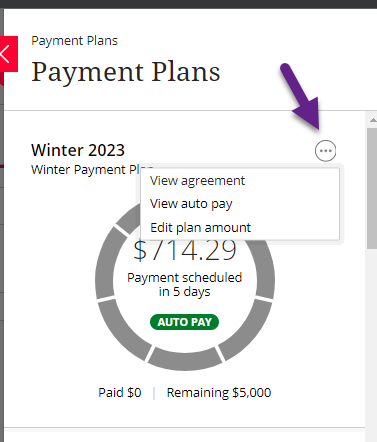 payment plan instructions