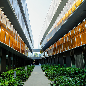 walking path of MBCC building