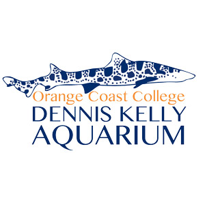 Dennis Kelly Aquarium with drawing of a nurse shark
