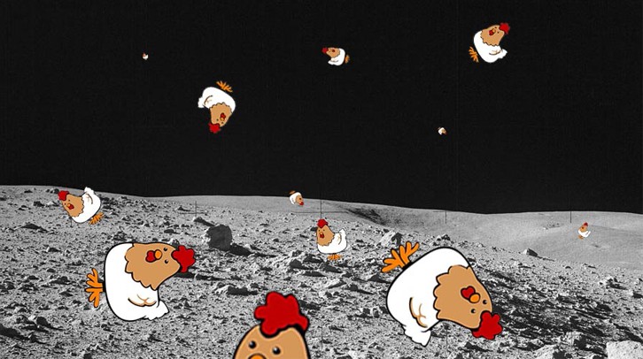 chickens falling on the moon