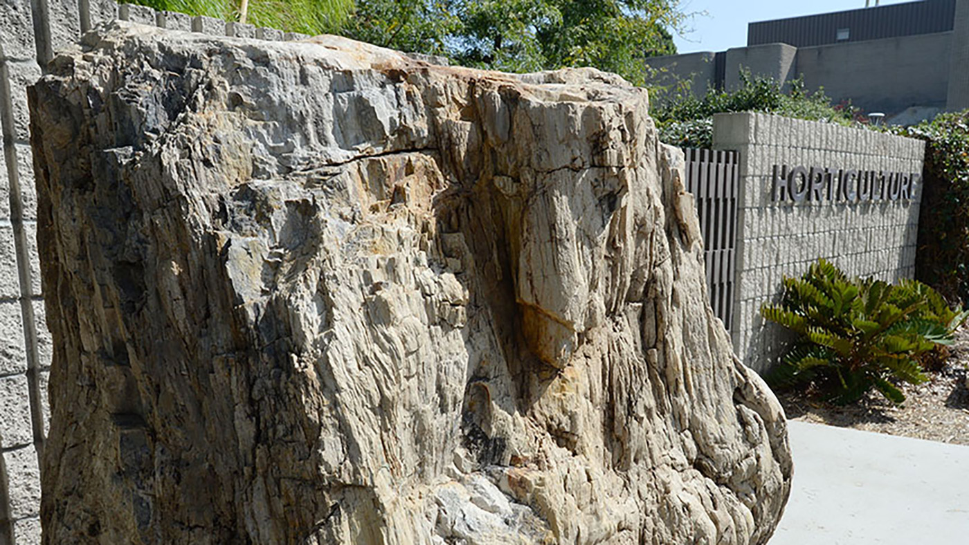 close up photo of log with horticulture entrance in background