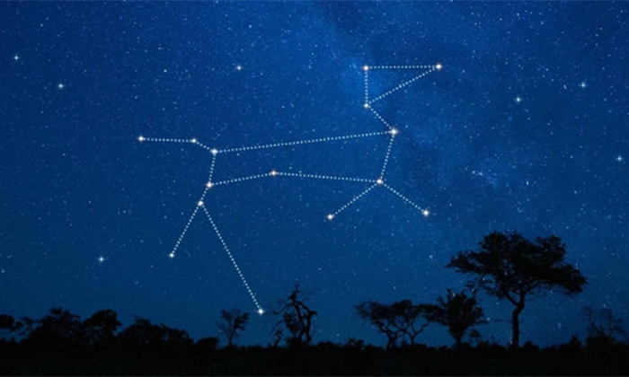 Star constellation in a shape of a dog.