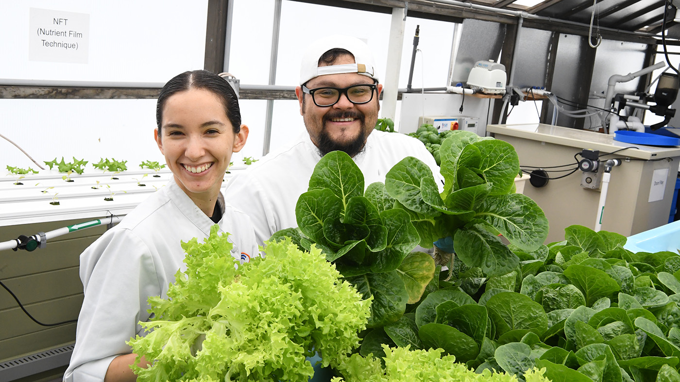 two people holding heads of lettuce