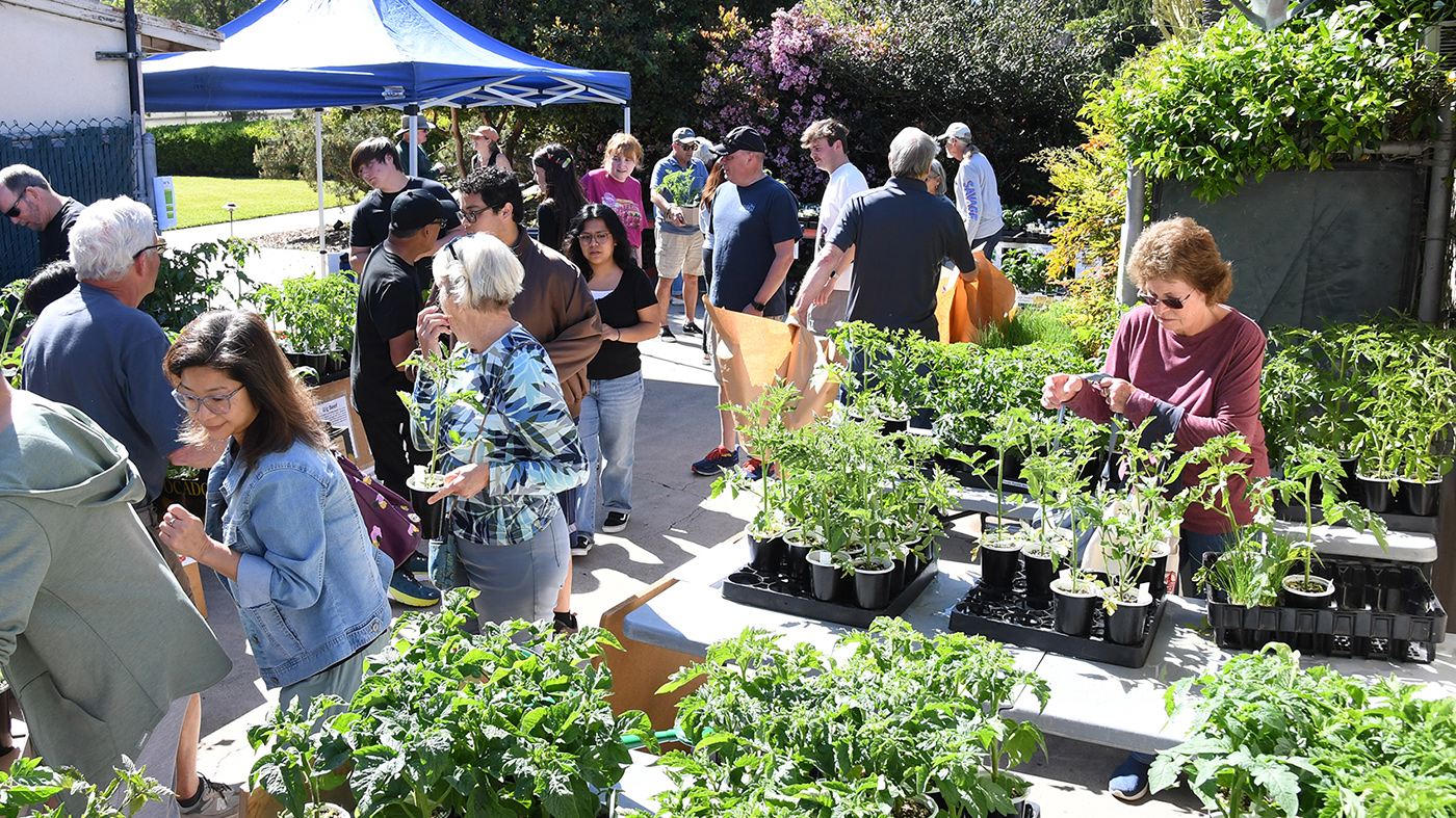 Customers shopping at the plant sale in the Horticulture Gardens