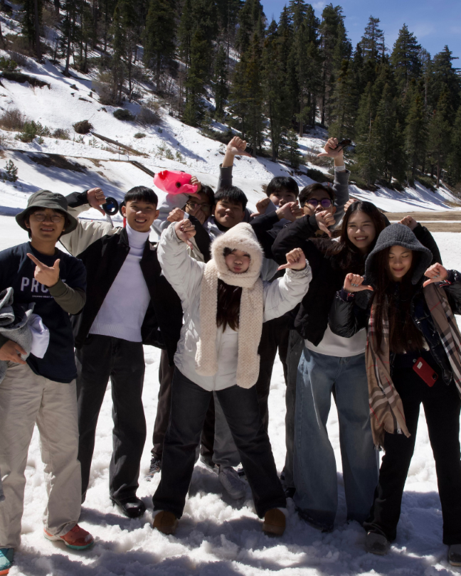 A group of 9 IEC students posing for photo in big bear