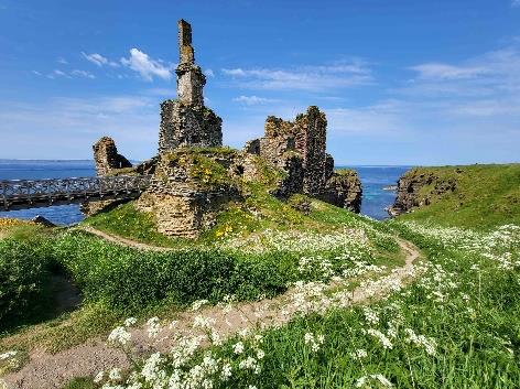 Ruins by Scottish coastline with wildflowers
