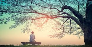 person sitting on bench under a tree